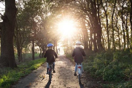 Nová cyklotrasa Via Silva Nortica propojí Vysočinu, Jižní Čechy a Rakousko a změní Melk na cyklistickou destinaci