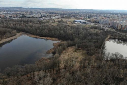 Obnova Vávrovských rybníků přinese více přírody i nové stezky