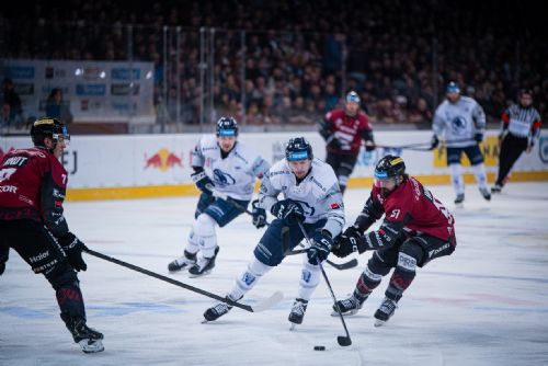 Plzeň padla na Spartě, série jde do rozhodujícího zápasu