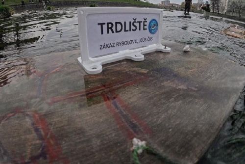 Pod píseckým jezem vznikla plovoucí trdliště pro podporu ryb