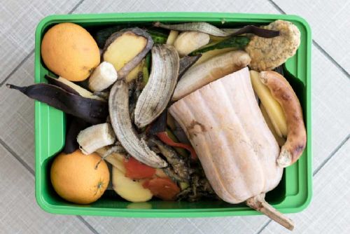Pražané ročně vyhodí 26 kg jídla: Nenechme plýtvat jídlem!