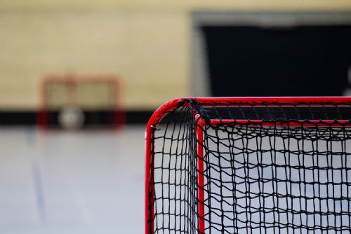 Rekordní návštěvnost ženského hokeje v Českých Budějovicích
