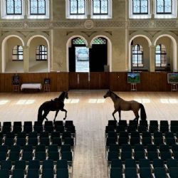 Romeo a Julie uzavřou festival ve Světcích. Jízdárnu ovládne divadlo, hudba i šerm