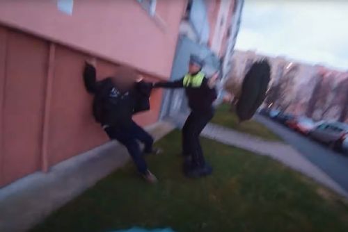 Rvačka před Albertem v Plzni. Agresor napadl dvě ženy a skončil v poutech (video)