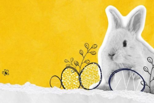 Velikonoční EGGSperimenty v Techmanii slibují zábavu pro malé i velké