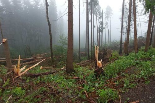 Zákaz vstupu do lesů na Jablunkovsku kvůli vichřici do konce července