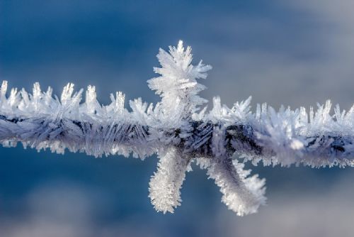 Dnes padly rekordní mrazy na Šumavě, Kvilda překonala historické minimum