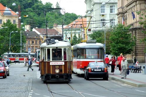 Javory v centru Brna ustoupí stavbě podzemního kolektoru