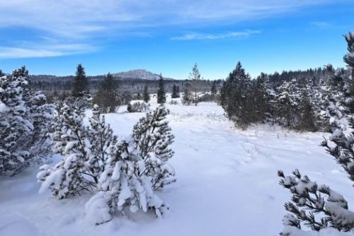 Mrazy a čerstvý sníh rozjíždí lyžařskou sezónu naplno