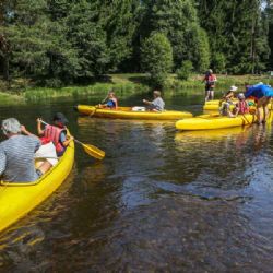 Národní park Šumava zastavil splouvání Teplé Vltavy. Hladina je hluboko pod limitem