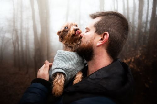 Nevidomý Brex hledá nový domov po zásahu ve Starém Sedlišti