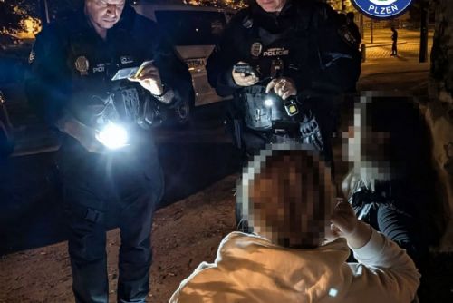 Noční akce Centrum pokračuje. V Plzni padaly pokuty za alkohol i nepořádek
