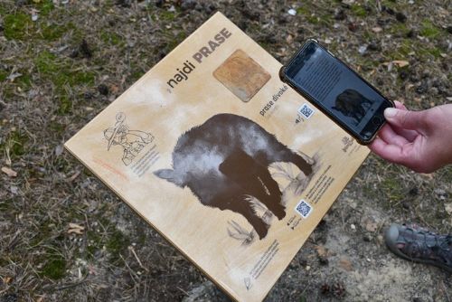 Nová stezka u Seneckého rybníka ukazuje 25 druhů zvířat. Děti zabaví i na hodinu