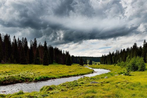 Novela ohrožuje světové uznání NP Šumava