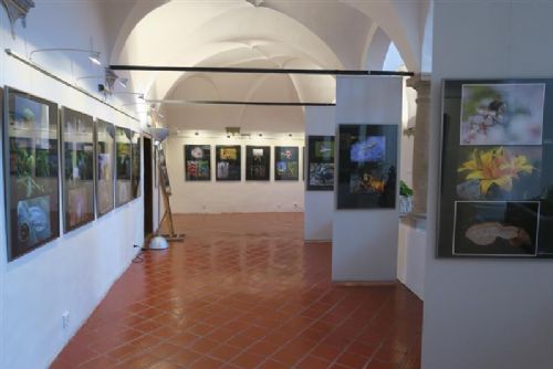 Makrofotografie zaplnily muzejní arkády v Muzeum Vysočiny Jihlava