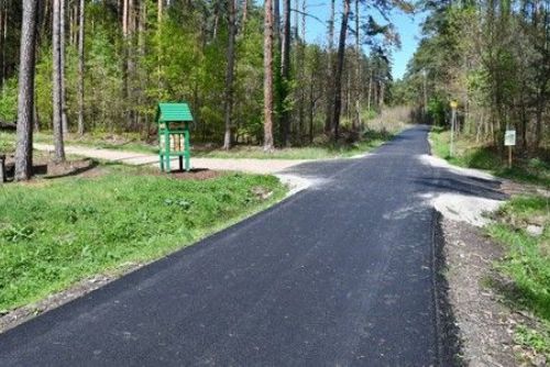 Plzeň investuje 12 milionů do oprav lesních cest