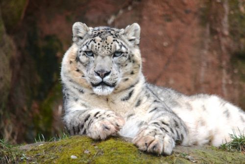 Plzeňská zoo láká na novinky