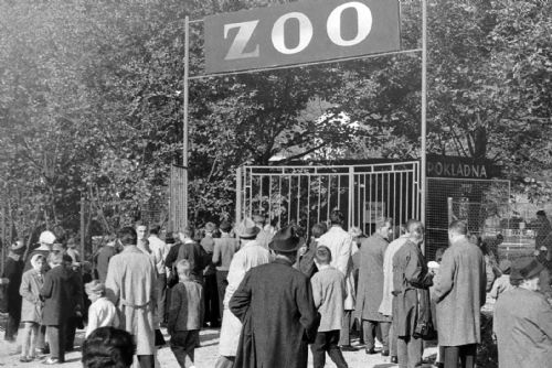 Plzeňská ZOO slaví 100 let, příběh party nadšenců až po světový biopark