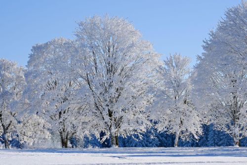 Rokytská slať na Šumavě naměřila -28,3 °C, jak bude o víkendu?