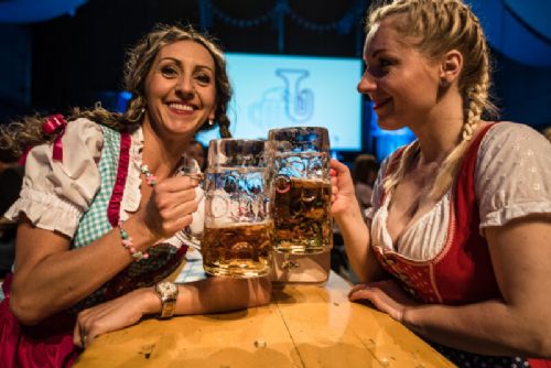 Víkend v Plzeňském kraji bude nabitý - letadla, víno, pivovary, koncerty, Treffpunkt i Arabfest