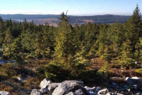 Vrch Kočka v Brdech nově chrání unikátní kambrické fosilie