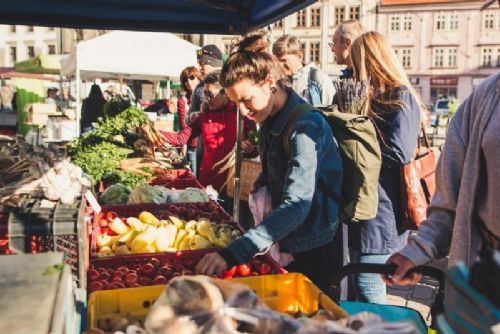 Kam o víkendu na Plzeňsku? Trhy, zabijačka, koncerty i vyhánění zimy
