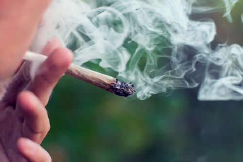 Limity THC v krvi řidičů mohou nesprávně trestat uživatele konopí