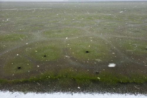 Lipno pod zeleným ledem: vědci popsali zimní květ sinic