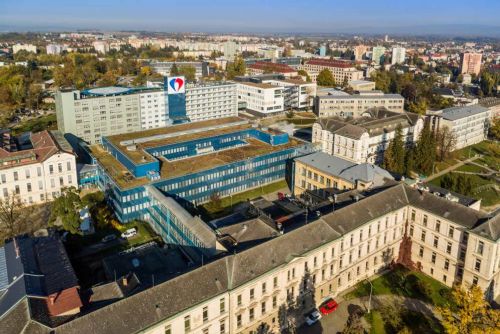 Olomoucká nemocnice nabízí revoluční léčbu chrupavky