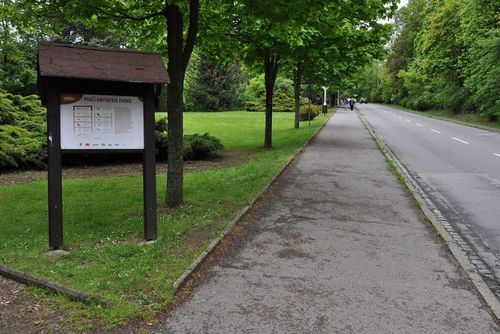 Přibyslav musí umístit 10000 sazenic stromků. Kam s nimy?