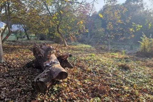 Revitalizace Droždína: nové rekreační zázemí chrání přírodu i obyvatele