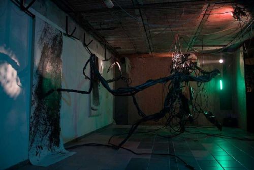 Signal Festival otevírá novou digitální galerii v srdci Prahy