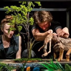 Skupova Plzeň zveřejnila program. Festival nabídne 50 akcí, vstupenky v prodeji od května