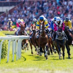 Stát sjednotí vlastnictví Chuchle Areny: Roční smlouva má otevřít cestu k dlouhodobému řešení