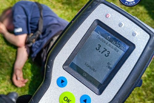 Válel se u Mlýnské strouhy s téměř čtyřmi promile. Tvrdil, že ho někdo kopl do hlavy