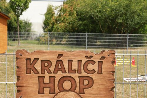 Skákající králíci mají v Plzni své místo - hřiště Králičí Hop přitahuje desítky návštěvníků