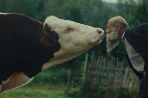  „Raději zešílet v divočině“, projekce unikátního filmu o šumavských podivínech, debata s autorem