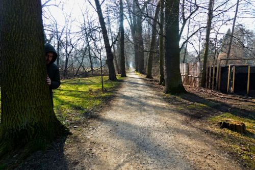 Devět let za útoky na ženy na Kilometrovce platí. Odvolání mladíkovi nepomohlo