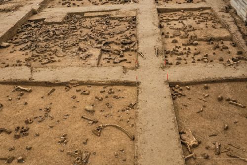 Nález 19 mamutů v Ústí nad Labem: evropský archeologický unikát