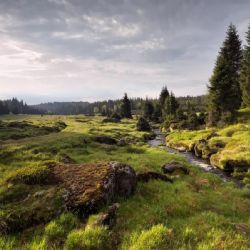 Národní park Šumava slaví 35 let. Klenot české přírody i dějiště vleklých sporů