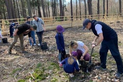 Plzeň zve na Den pro les - sázejte 4 000 stromků na Zábělé