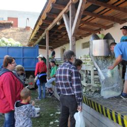 Poslední sudy křimického zelí. Legendární výroba v Křimicích končí