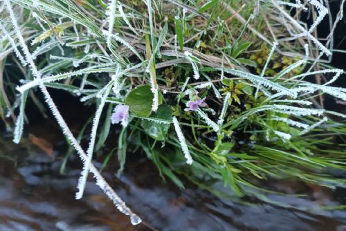 Šumavu sevřel ranní mráz. Na Kvildě klesla teplota pod minus deset stupňů