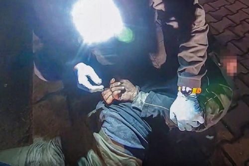 Věčný potížista v Plzni znovu řádil. Strážníci ho letos řešili už po pětapadesáté