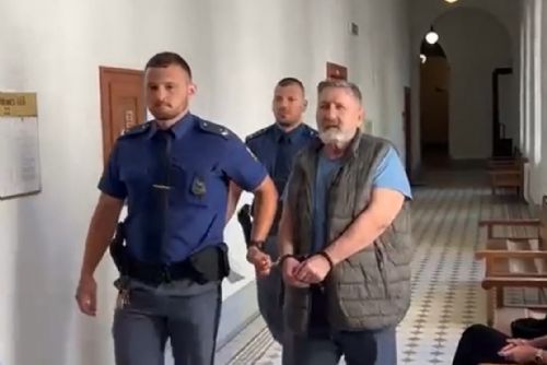 Vrchní soud zpřísnil trest pro vraha turisty v Českém lese