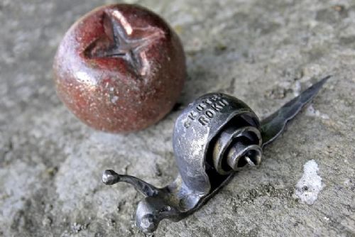 Vysočina spustila březnové hlasování v anketách Zlatá jeřabina a Skutek roku