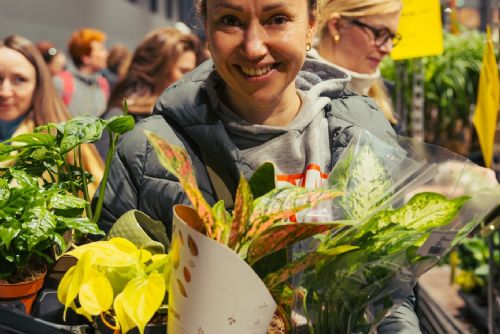 O víkendu proběhl Festival rostlin - ráj pro milovníky zeleně i sběratelské raritky