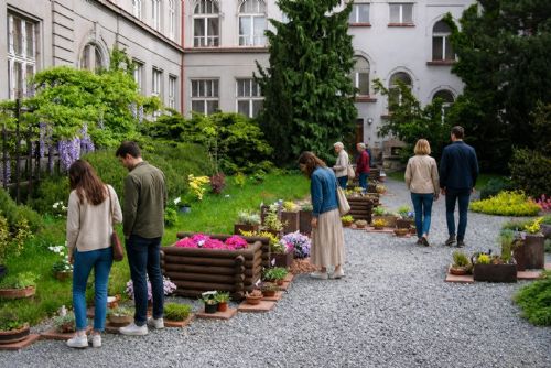 Kam o prodlouženém víkendu? Plzeňský kraj nabídne hrady, koncerty, výstavy i vojenskou historii