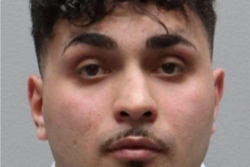 Pasov pátrá po uprchlíkovi od soudu. Nebezpečný muž může mířit do západních Čech