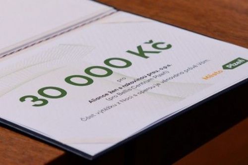 Plzeň rozdělila 120 tisíc korun mezi místní neziskovky